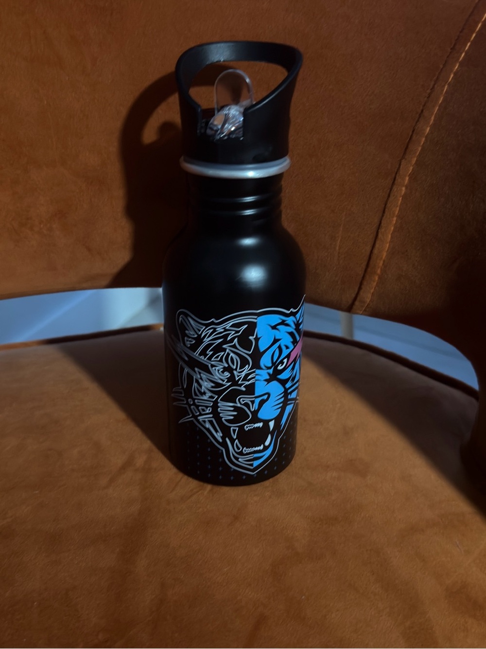Mr Beast Stainless Steel Water Bottle with Blue & Pink Tiger Graphic